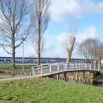 De Meeuw – ws