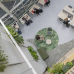 Eromesmarko_Be_Hybrid_Felt_44950_01