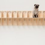 R3 Standaard – voorkeur